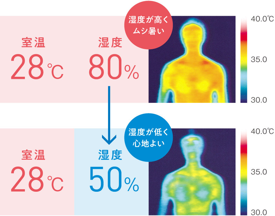 サーモグラフィーの画像　室温28℃／湿度80％ しつどが高いので、ムシ暑く感じる、室温28℃／湿度50％ 室温が同じでも、しつどを下げると心地いい